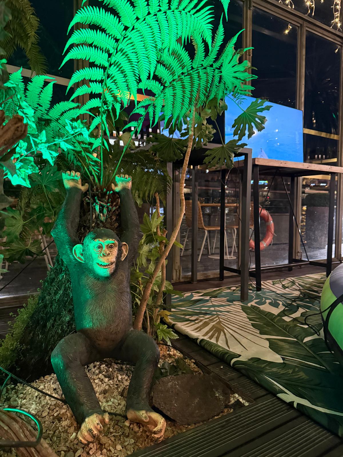 B2V — Une soirée dans la Jungle